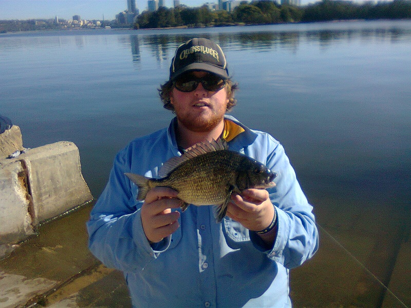 Today Bream Fishing Fishing Wa Fishing Photos